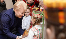 Dalia Grybauskaitė nevyks į Sočio žiemos olimpines žaidynes