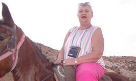 Kaip sutikti Arklio metus