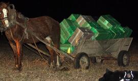 Kontrabandininkai neteko ir rūkalų, ir arklio, ir vežimo