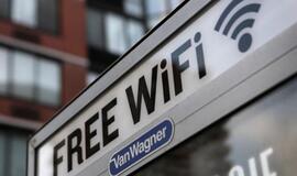 Nustatyta, kad belaidis internetas gali kenkti augalams