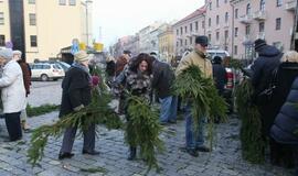 Klaipėdiečiams išdalintos eglių šakos