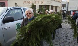 Klaipėdiečiams išdalintos eglių šakos