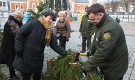 Klaipėdiečiams išdalintos eglių šakos