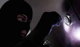 Pajūrio apskritį siaubė vagys