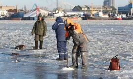 Ledas. Žvejai. Laivas. Inspektoriai