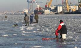 Ledas. Žvejai. Laivas. Inspektoriai