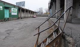 Bazės metamorfozės idėja dar nemirusi