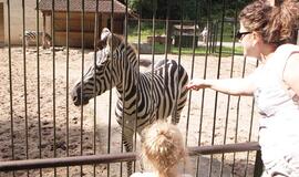 Lietuvos zoologijos sodas laukia gerų naujienų