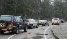 Protestas prieš šernų medžioklę