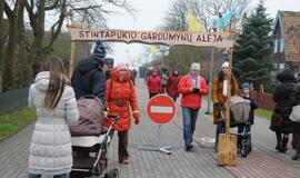 Stintapūkio šventė