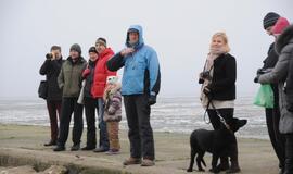 Stintapūkio šventė