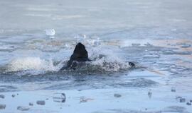 Ugniagesiai vaidina skęstančiuosius