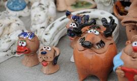 Stintapūkio šventė