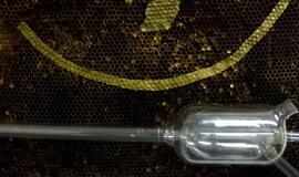 Galerijoje - "vidinės atminties archyvas"