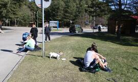 Pėsčiųjų žygis Palanga - Šventoji "Gintaro kelias"