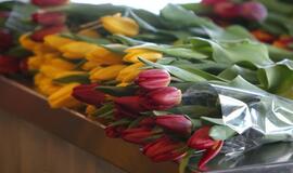 Kovo 8-oji Klaipėdoje