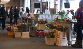 Kovo 8-oji Klaipėdoje