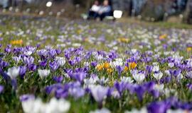 Vokietijoje užfiksuotas šilumos rekordas