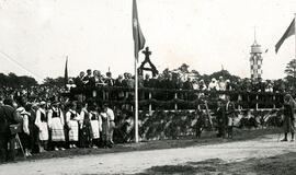 Į jūrą - visa Lietuva! Santuoka su jūra