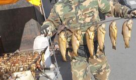 Kaliningradiečiai: Kuršių mariose nyksta žuvys