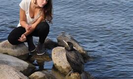 Kormoranus naikins asociacija "Gamtos namai“