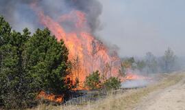 Gaisras Kuršių nerijoje: išdegė 60 ha miško
