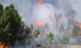 Padarytos žalos mastas paaiškės per savaitę