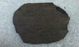 Palangoje atrastas viduramžių dvaras