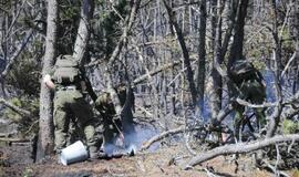 Gaisras Kuršių nerijoje: antroji diena