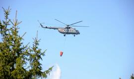 Gaisras Kuršių nerijoje: antroji diena