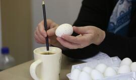 Klaipėdiečiams - kiaušinių marginimo paslaptys