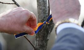 Sąjūdžio parke pasodinti ąžuoliukai