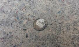 Palangoje atrastas viduramžių dvaras