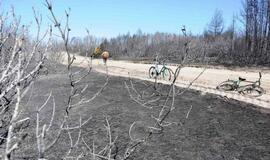 Gaisras Kuršių nerijoje: antroji diena