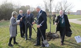 Sąjūdžio parke pasodinti ąžuoliukai