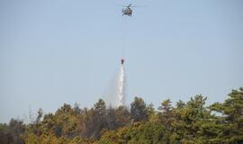 Gaisras Kuršių nerijoje: antroji diena