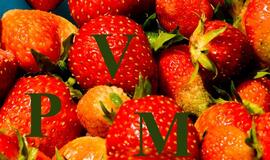 Solidžiomis piniginėmis baudomis nuteisti PVM grobstytojai