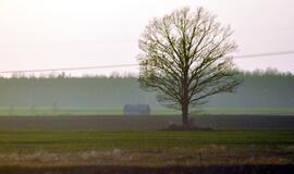 Užsieniečiai Lietuvoje valdo tiek žemės, kiek užima Kuršių nerija