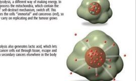 Vaistai nuo vėžio išrasti, bet farmacijos kompanijų jie nedomina