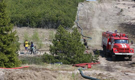 Dėl gaisro Kuršių nerijoje - tyrimas