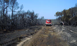 Kuršių nerijoje buvo kilęs dar vienas  gaisras