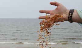 Gintarinis savaitgalis Palangoje