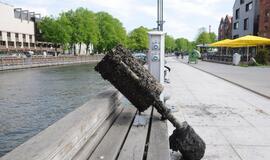 Akcija "Švari Dangė"