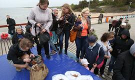 Gintarinis savaitgalis Palangoje