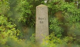 Kopų apželdinimo pionieriaus paminklas apžėlė