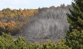 Kuršių neriją nuo gaisrų jau saugo ir vaizdo kameromis