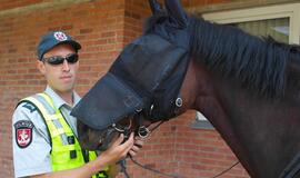 Palangos poilsiautojus sužavėjo raitoji policija