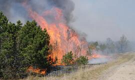 Ministerija už netinkamai įdiegtą gaisrų stebėjimo sistemą kol kas siūlo bausti dvi urėdijas