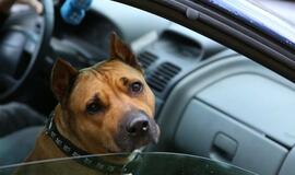 Karklė 2014 Live Music Beach