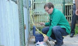 Meškos Laimos išvežimas iš Karklės